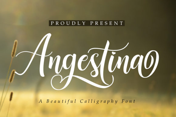 Angestina: A Charming and Elegant Script Font
