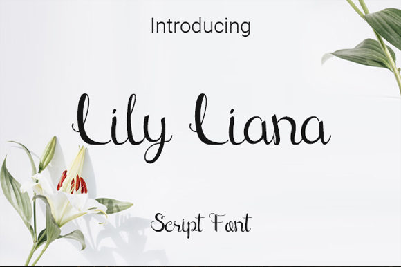Exploring Lily Liana: A Versatile Font for Elegant Branding