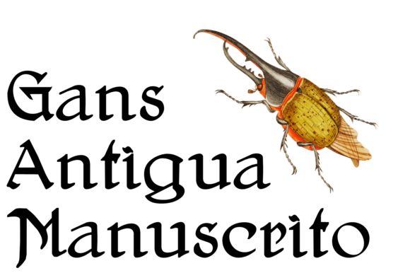 Gans Antigua Manuscrito: A Script with Character