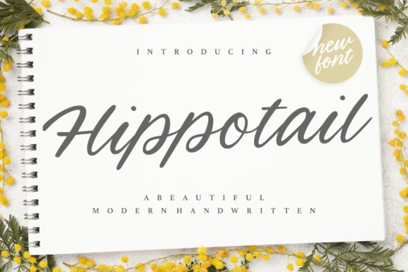 Hippotail: A Handwritten Font for Editorial Elegance